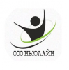 Логотип компании «Ньюлайн»