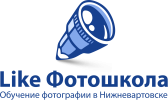 Логотип компании «LIKE ФОТОШКОЛА В НИЖНЕВАРТОВСКЕ»