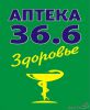 Логотип компании «36,6 - Здоровье Сеть Аптек - Сеть Аптек»