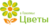 Логотип компании «МАГАЗИН ЦВЕТОВ ВОЛГАЦВЕТ (БЫВ. ЦВЕТЫ ПОВОЛЖЬЯ)»