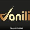 Логотип компании «СТУДИЯ ТАНЦЕВ VANILI»