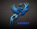 Логотип компании «SANNAT»