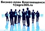 Логотип компании «БИЗНЕС-ПЛАН В БЛАГОВЕЩЕНСКЕ»