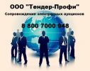 Логотип компании «ТЕНДЕР-ПРОФИ»