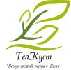 Логотип компании «TEAKUST»