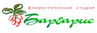 Логотип компании «Декор-студия барбарис»