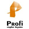 Логотип компании «Дизайн студия Profi - Дизайн студия интерьера »