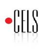 Логотип компании «Цэлс»