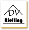 Логотип компании «Dv rielting»
