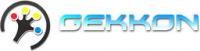 Логотип компании «Геккон»