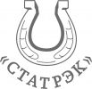 Логотип компании «Транспортная компания статрэк»