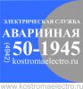 Логотип компании «Аварийная электрическая служба»