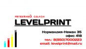 Логотип компании «Levelprint»