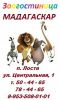 Логотип компании «Зоогостиница мадагаскар»