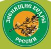 Логотип компании «Звенящие кедры россии»
