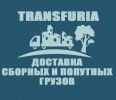 Логотип компании «Transfuria»