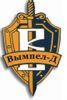 Логотип компании «Охранная организация вымпел-д»