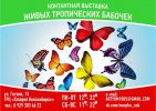 Логотип компании «Контактная выставка живых тропических бабочек»