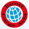 Логотип компании «Эскорткаргоавиа»