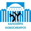 Логотип компании «Школа спортивной капоэйры - обучение капоэйре»