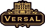 Логотип компании «Versal»