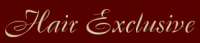 Логотип компании «Hair exclusive»