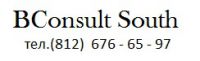 Логотип компании «Бизнесконсалт*юг»