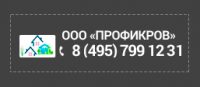 Логотип компании «Профикров»