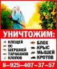 Логотип компании «Биотрикс-СЭС Люберцы - Уничтожение насекомых,клопов,тараканов,блох,крыс в Люберцах»