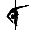 Логотип компании «Школа танцев POLE DANCE «Невесомость» - Школа танцев POLE DANCE»