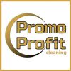 Логотип компании «Promoprofit»