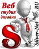 Логотип компании «Интернет-агентство *silver-net*»