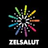 Логотип компании «Фейерверки Зелсалют»