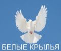 Логотип компании «БЕЛЫЕ КРЫЛЬЯ - Производство ритуальных товаров»