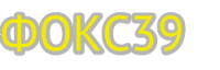 Логотип компании «Фокс39»