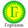 Логотип компании «Горгазон - рулонный газон»