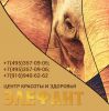Логотип компании «Центр красоты и здоровья элефант»