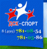 Логотип компании «Дск-спорт - детские спортивные комплексы и спортоборудование»