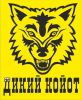 Логотип компании «Сто дикий койот»