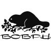 Логотип компании «Бобры-декор»