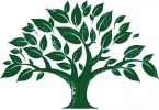 Логотип компании «Доброе дерево»
