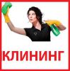 Логотип компании «Клининговая компания»