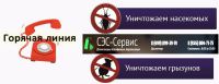 Логотип компании «Сэс-сервис»