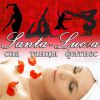 Логотип компании «Санта Лючия»