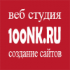 Логотип компании «Веб студия 100nk.ru»