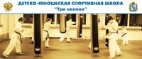 Логотип компании «ДЮСШ Три океана»