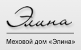 Логотип компании «Элина»