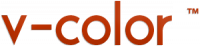 Логотип компании «V-color»