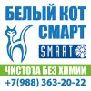 Логотип компании «Белый кот-Смарт»