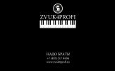 Логотип компании «Zvuk4profi»